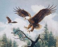 Majestic Sky Eagles