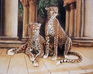 Cheetahs At The Palace